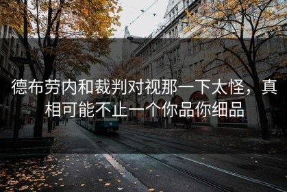 德布劳内和裁判对视那一下太怪，真相可能不止一个你品你细品