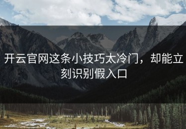 开云官网这条小技巧太冷门，却能立刻识别假入口