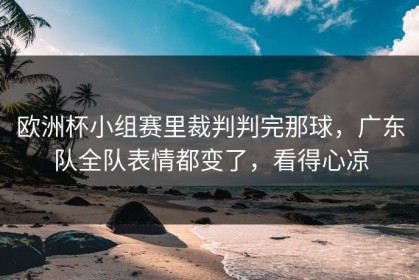 欧洲杯小组赛里裁判判完那球，广东队全队表情都变了，看得心凉