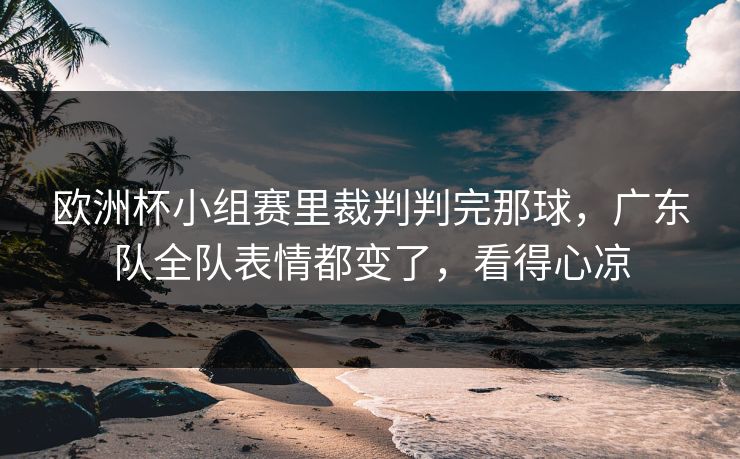 欧洲杯小组赛里裁判判完那球，广东队全队表情都变了，看得心凉