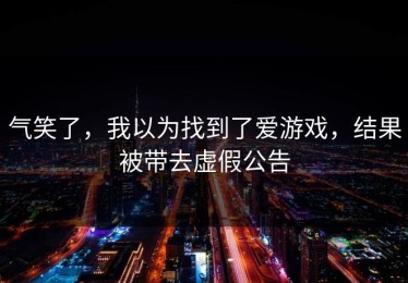 气笑了，我以为找到了爱游戏，结果被带去虚假公告
